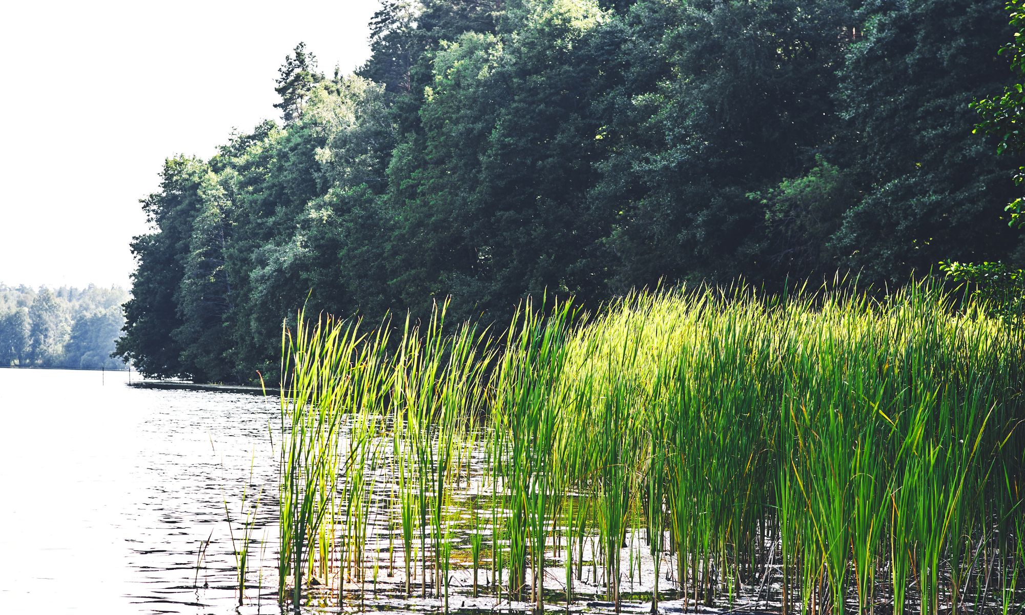 San-Boat vaartocht in de natuur San-Boat vaartocht in de natuur